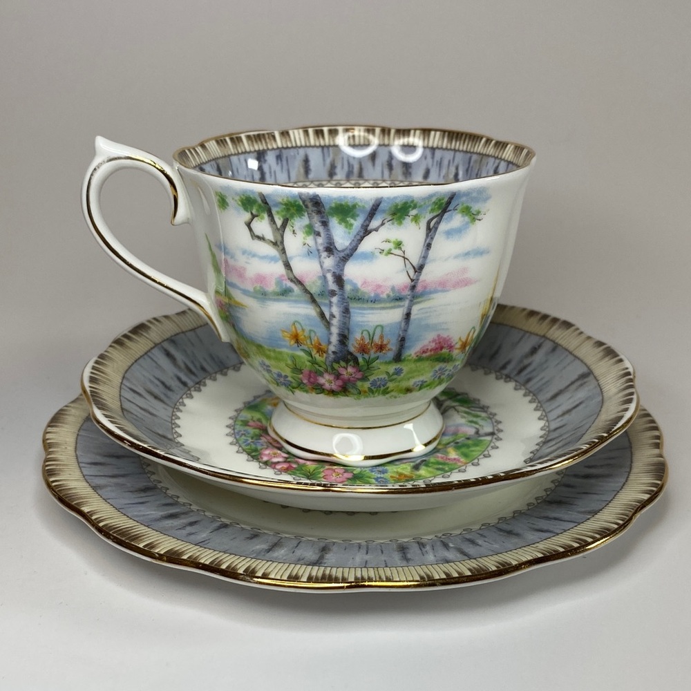 Royal Albert Silver Birch (1930/1940) Teacup Set